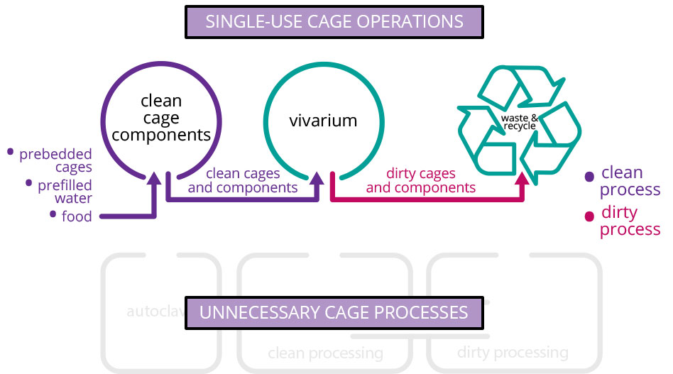 Disposable Process Rat