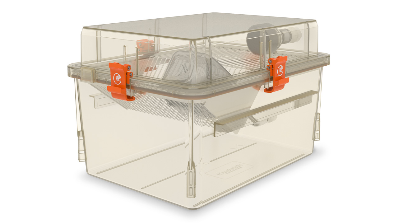 4-point seal (Rat Cage)