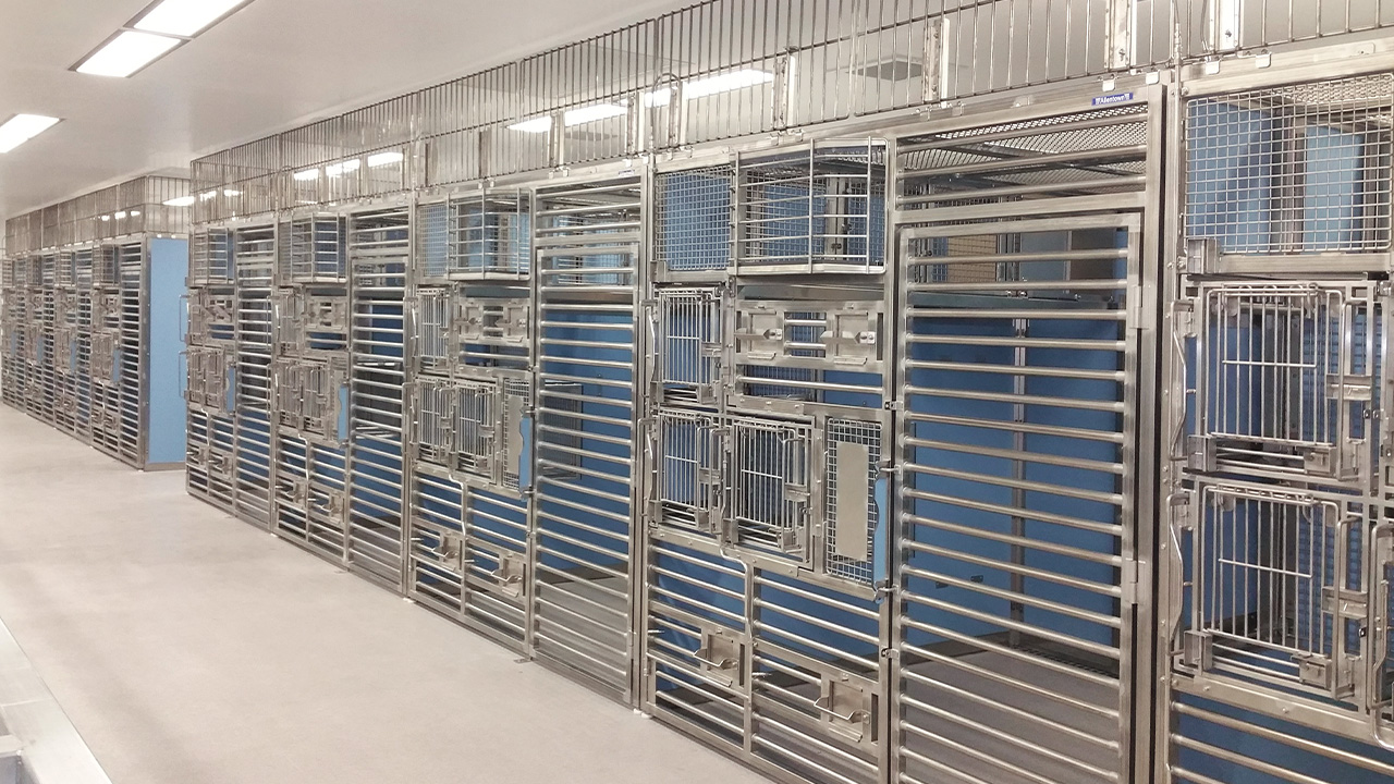 Primate Enclosures Case Study