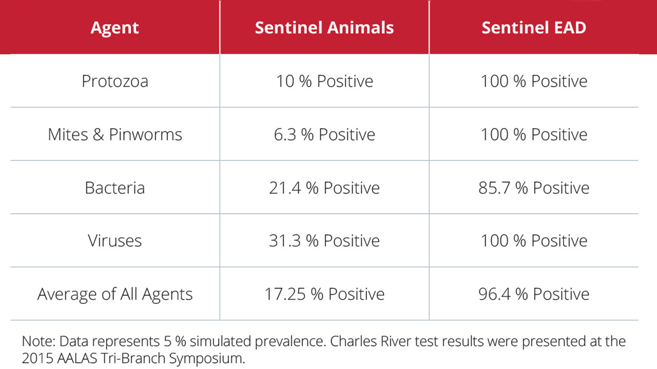 Accuracy Comparison Chart